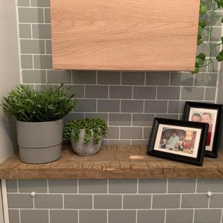 bathroom with grey wall paint and plant