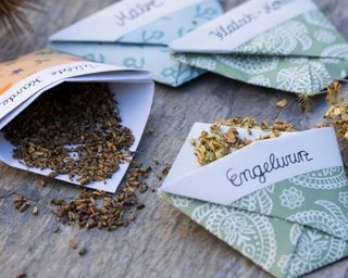 Garden angelica (Angelica archangelica), label handcrafted seed sachets yourself