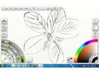 Incomplete Flower Sketch