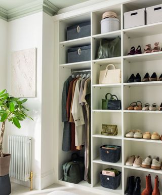 floor to ceiling open closet shelves with shoes and jackets inside a bedroom. On the left stands a tall money tree.