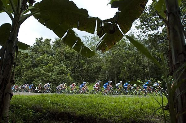 The peloton in search of the leading group who stayed away from the field for around 150 kilometres.