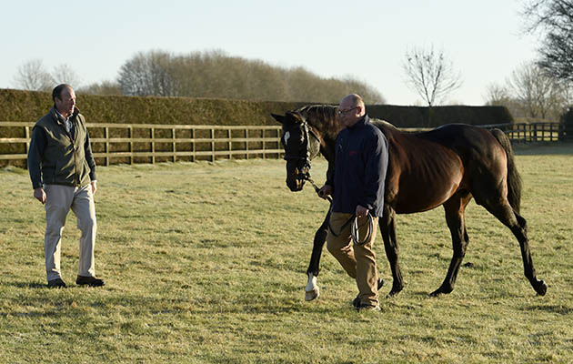 Overbury Stud shoot 02 01 2017