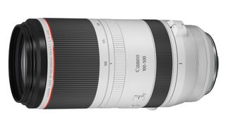 RF lens roadmap: Canon RF 100-500mm f/4.5-7.1 L IS USM