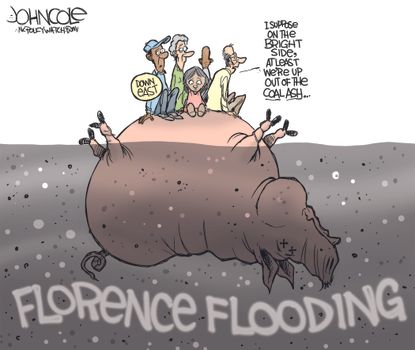 U.S. Hurricane Florence North Carolina hog farm flooding