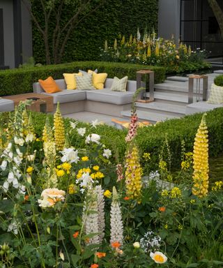 Color themed contemporary garden with orange and yellow foxgloves