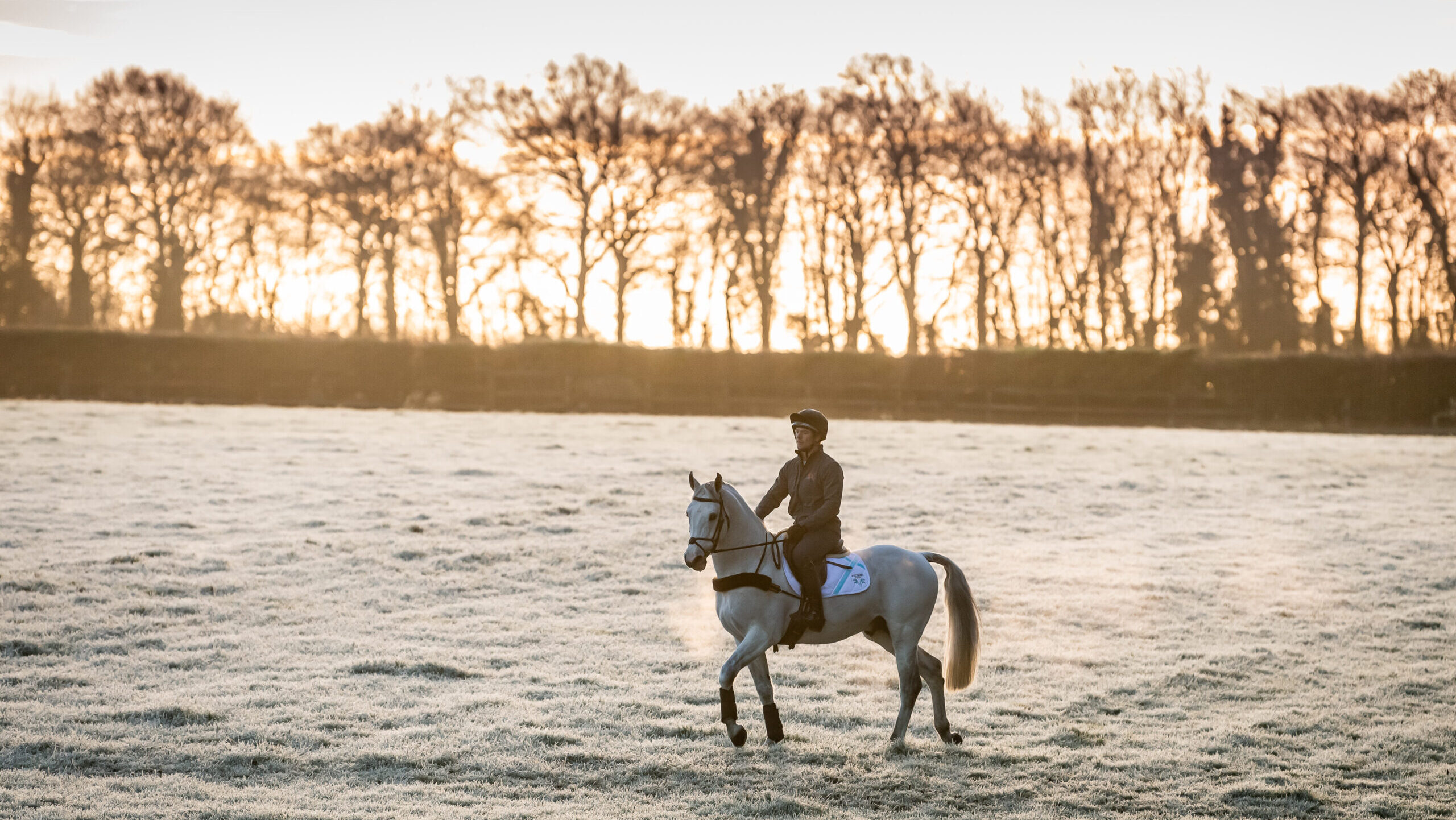 Horse rider on grey horse riding on frosty field on a winter&amp;rsquo;s morning