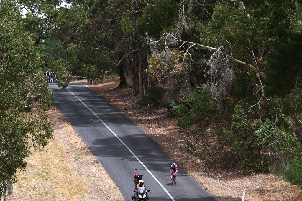 STIRLING AUSTRALIA JANUARY 19 Maike Van Der Duin of The Netherlands and Team CanyonSram Zondacrypto attacks during the 9th Santos Womens Tour Down Under 2025 Stage 3 a 1059km stage from Stirling to Stirling 444m UCIWWT on January 19 2025 in Stirling Australia Photo by Dario BelingheriGetty Images
