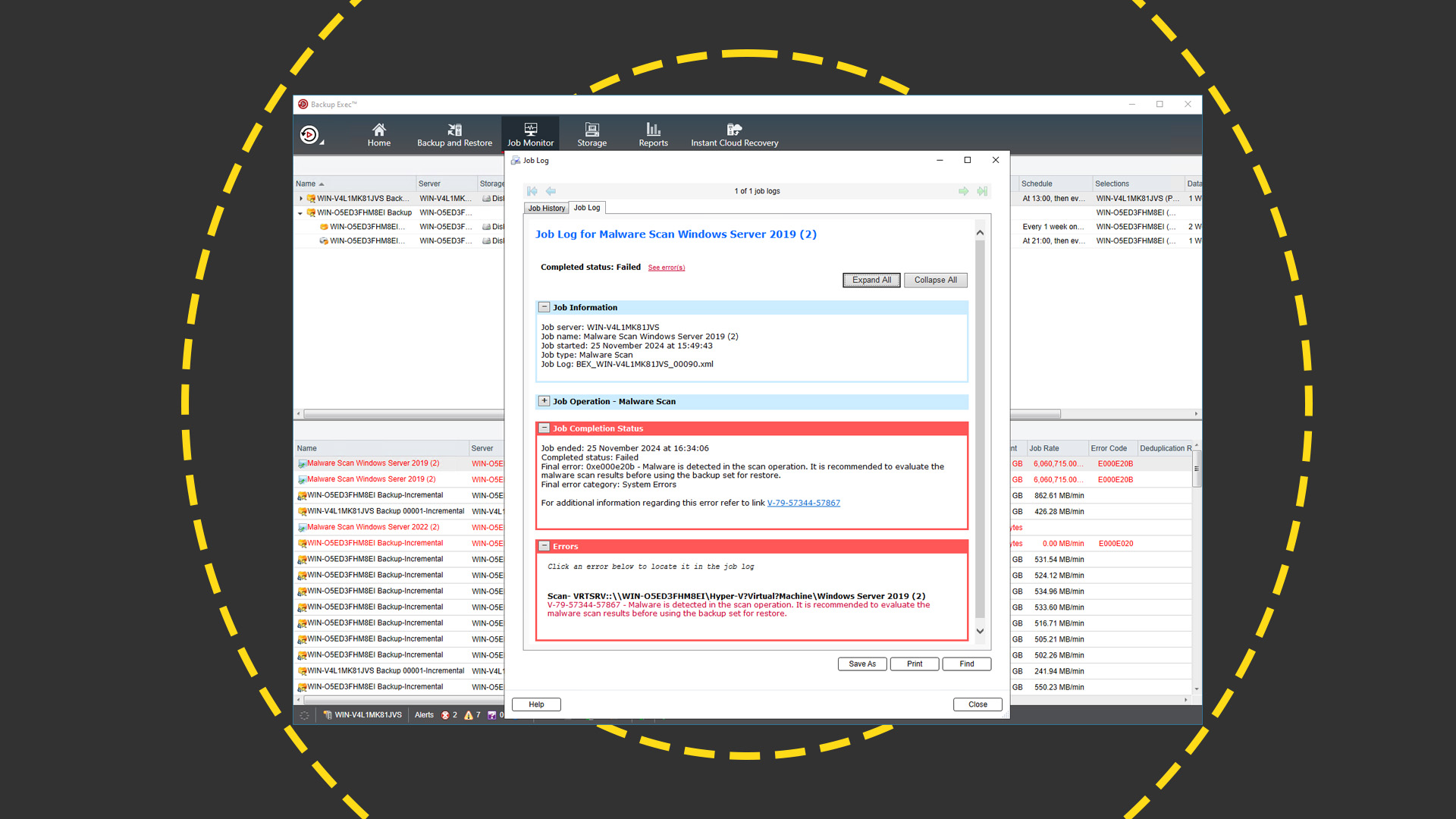 The Arctera Backup Exc 24 malware detection page