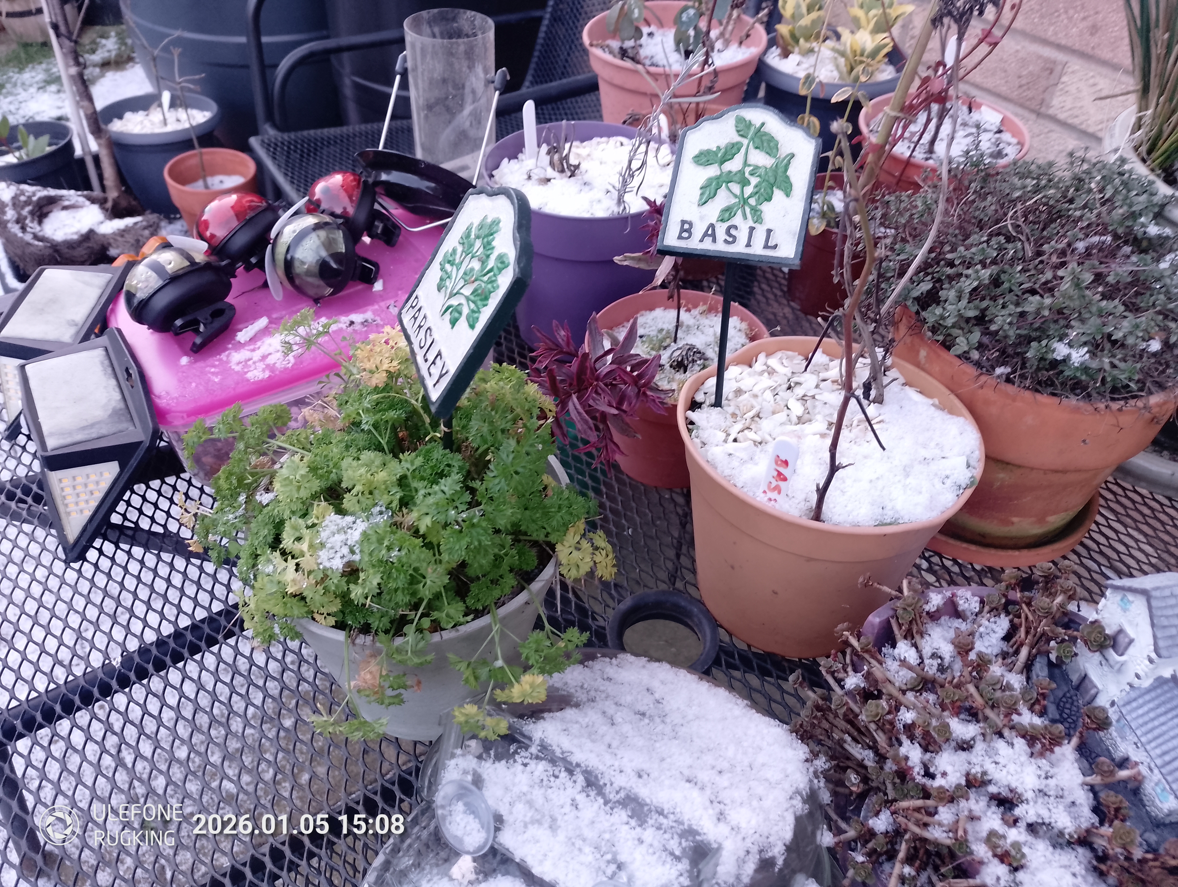 Ulefone Rugking camera examples