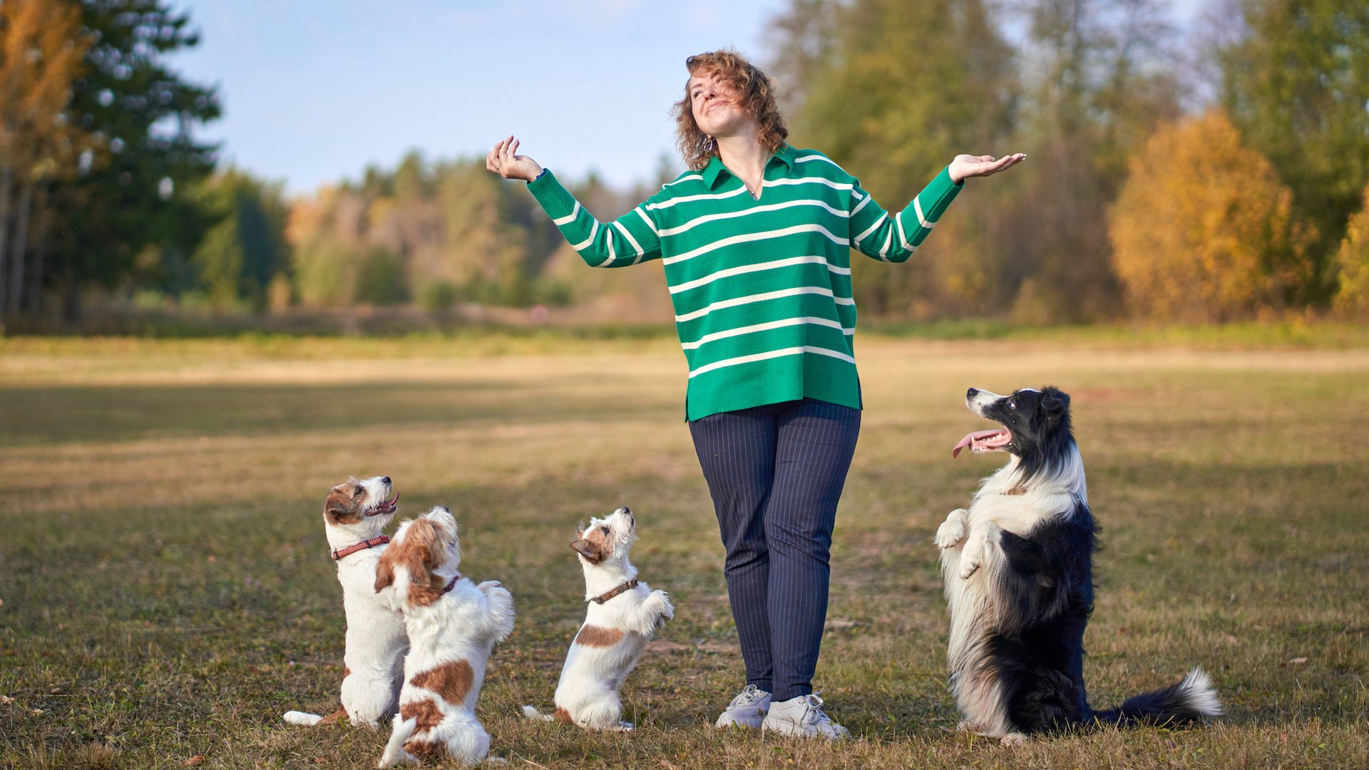 Lady with pack of dogs