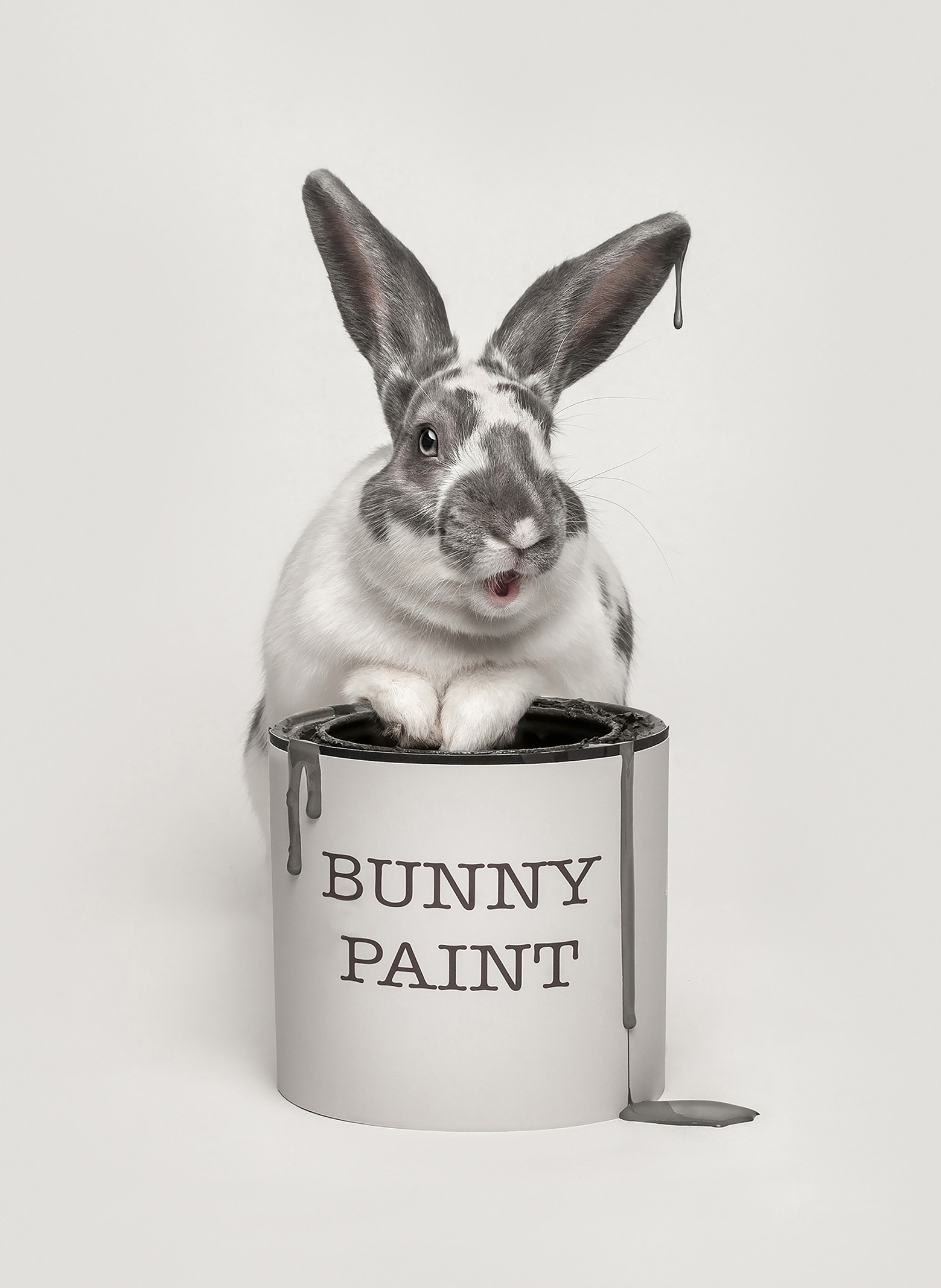 A playful rabbit with gray and white fur sits inside a paint can labeled 