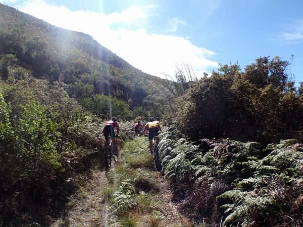 Riders go through the African jungle at the Cape Pioneer Trek.