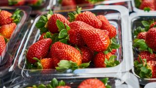 Carton of fresh strawberries