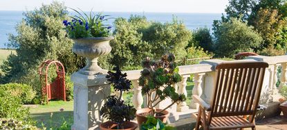 Pots on a terrace at The Shute, Ventnor, Isle of Wight