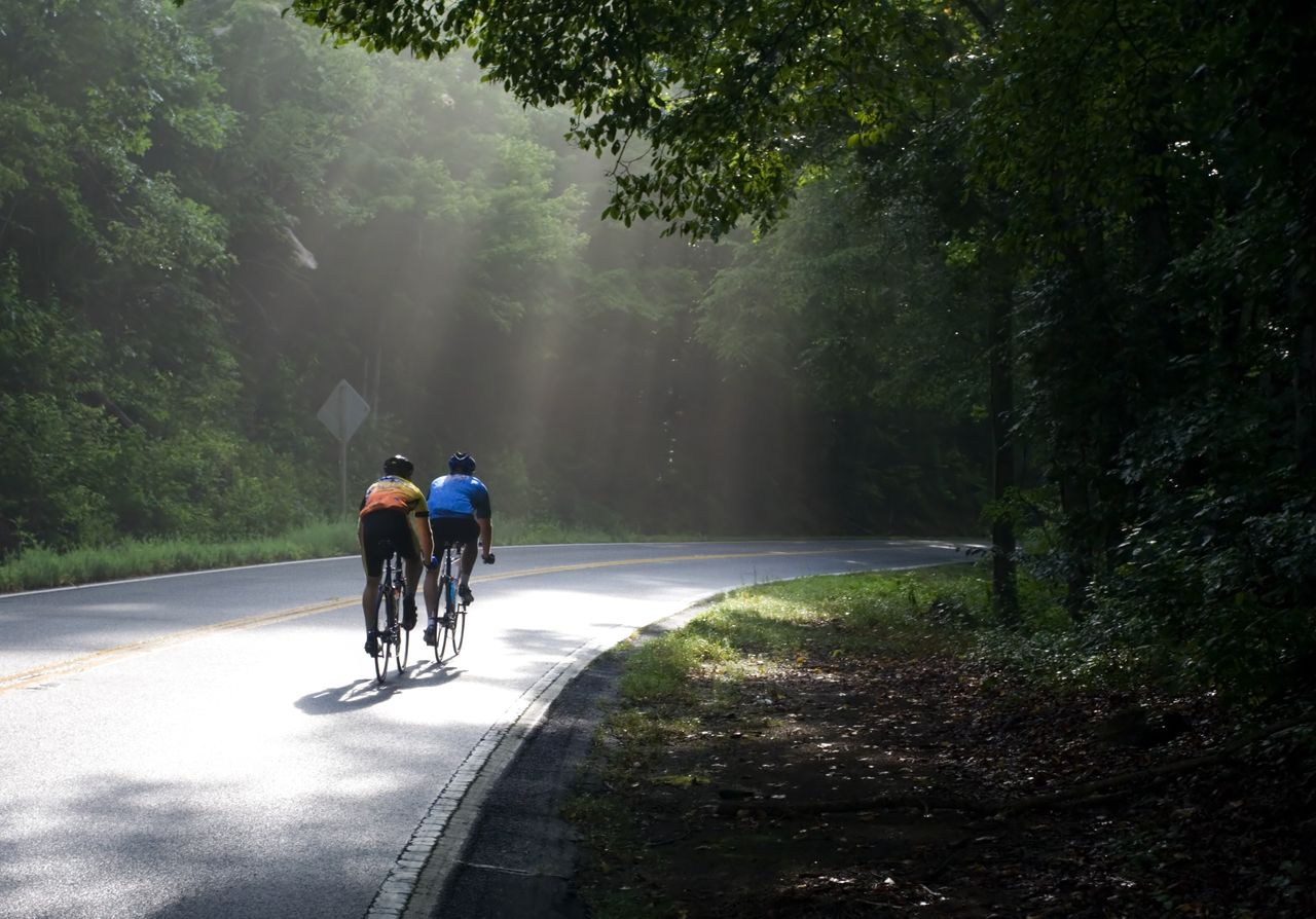 Two cyclists alone on a rural road