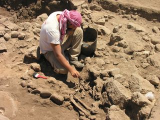 tell qarassa excavations