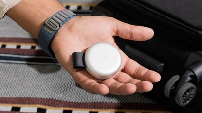 Twelve South Butterfly