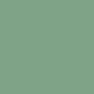 A dark sage green square in the Benjamin Moore shade Winchester sage
