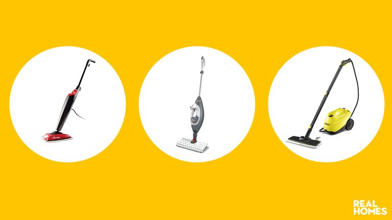 Best steam cleaners: