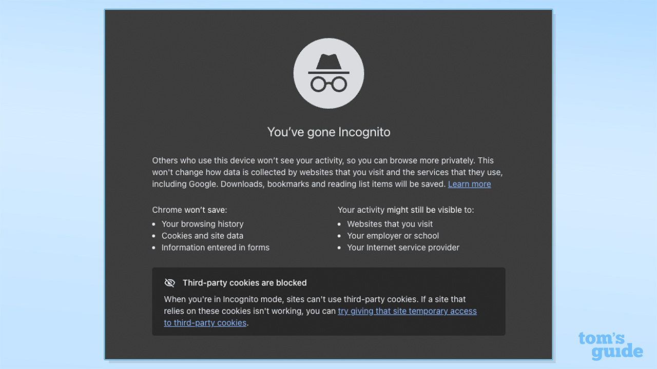 screenshot of the incognito mode homepage