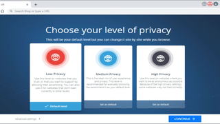 UR Browser privacy options