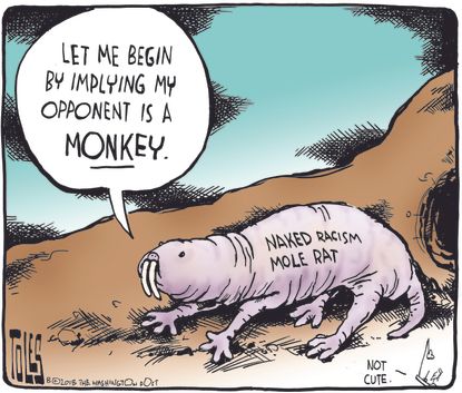 Political cartoon U.S. monkey around racism Ron DeSantis Andrew Gillum Florida governor election