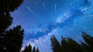 A view of the stars of the blue Milky Way with pine trees forest silhouette in the foreground