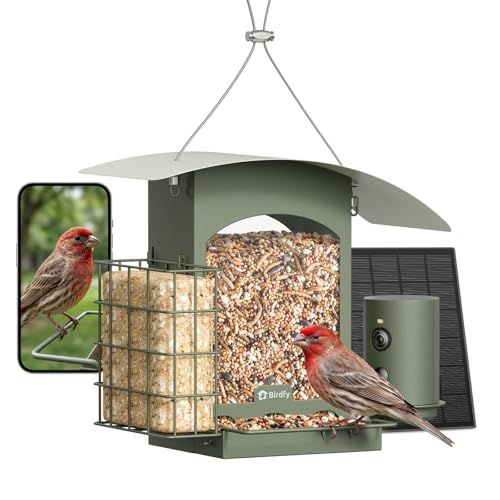Smart Solar Powered Bird Feeder With Camera