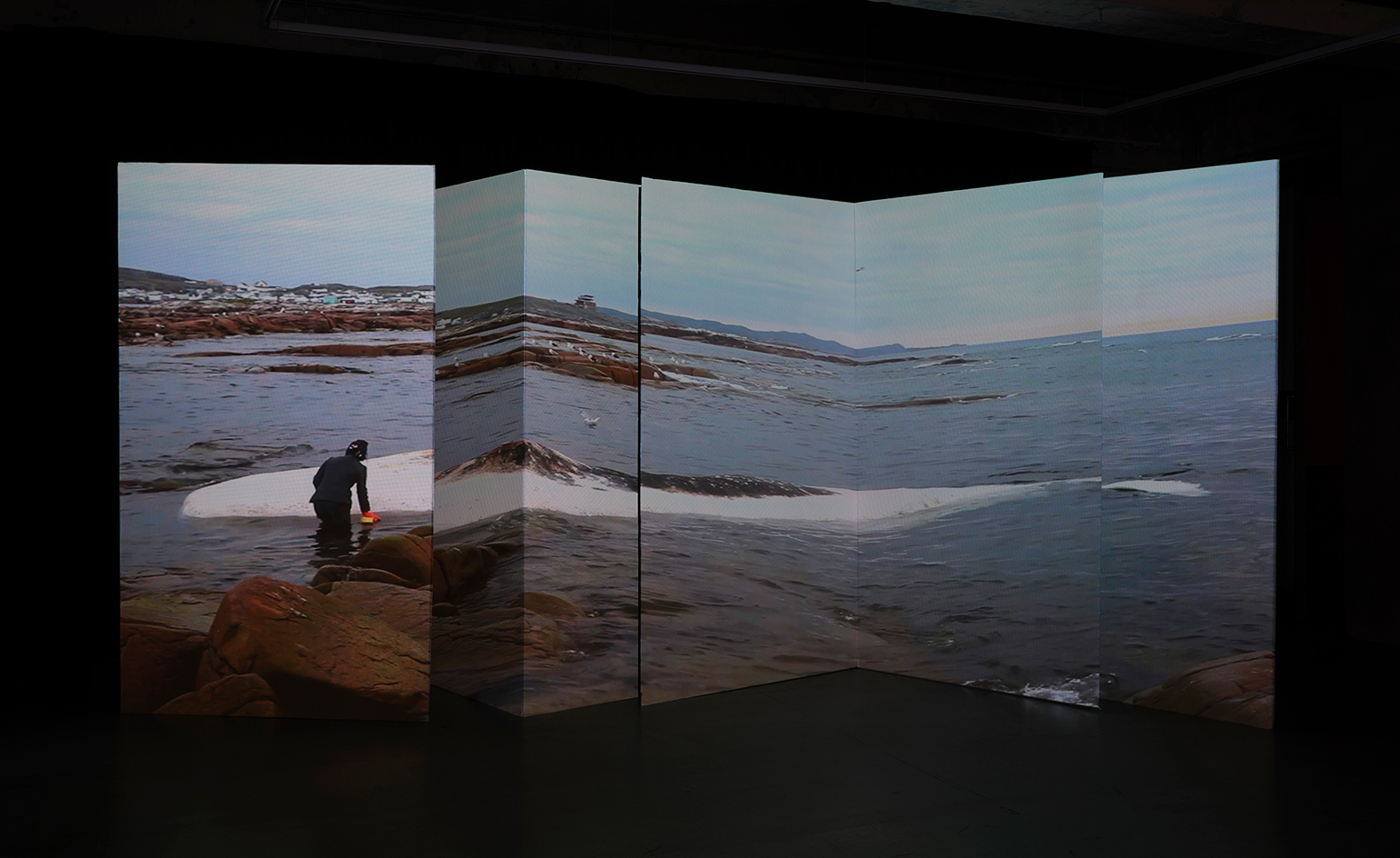 Patty Chang artwork, Invocation for a Wandering Lake, showing woman in sea beside dead whale, part of group show Soy Dreams of Milk at Blindspot Gallery Hong Kong