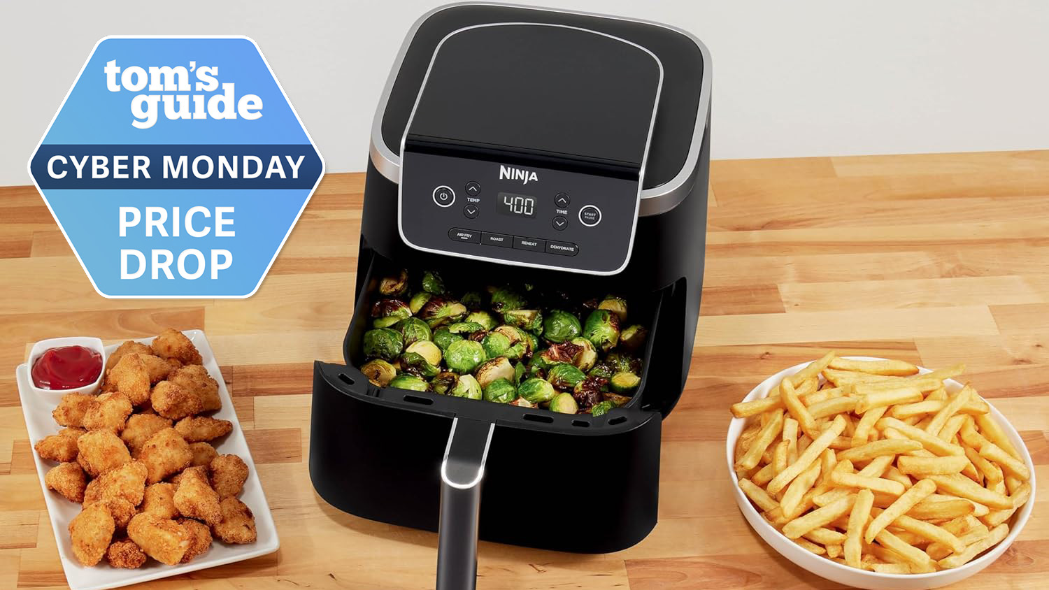 Ninja Air Fryer Pro 4-in-1