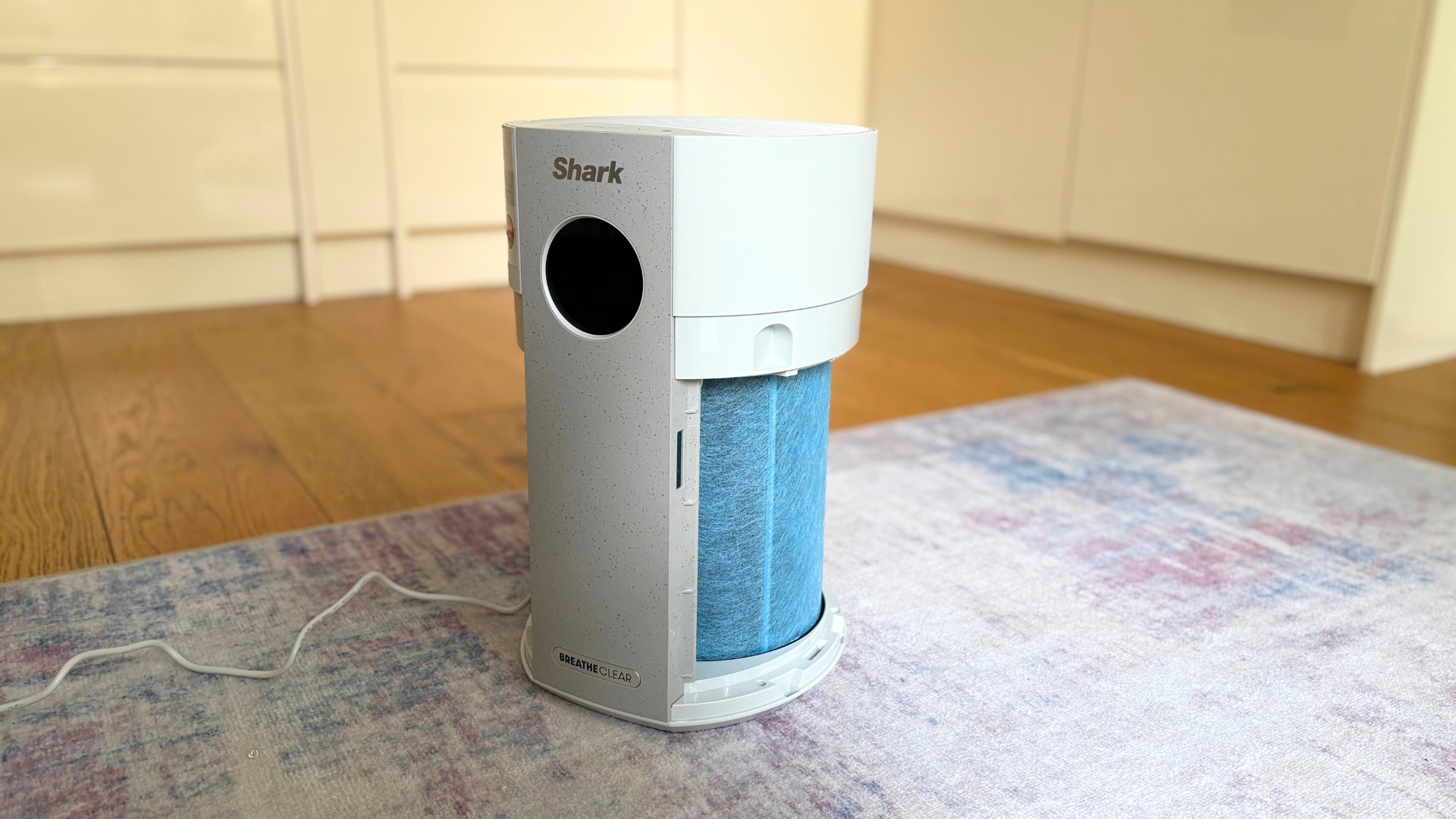 Testing the Shark BreatheClear with NeverChange6 Air Purifier by shwoing the filter