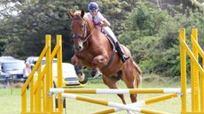 Jessica-Miller&rsquo;s-Suffolk-mare-showjumping-at-the-Gwennap-show-2.jpeg