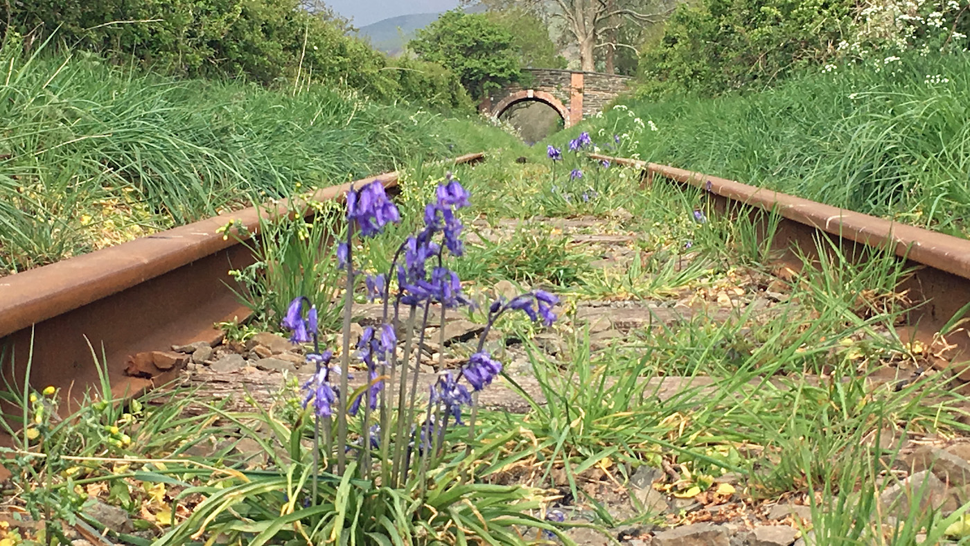 Talyllyn2