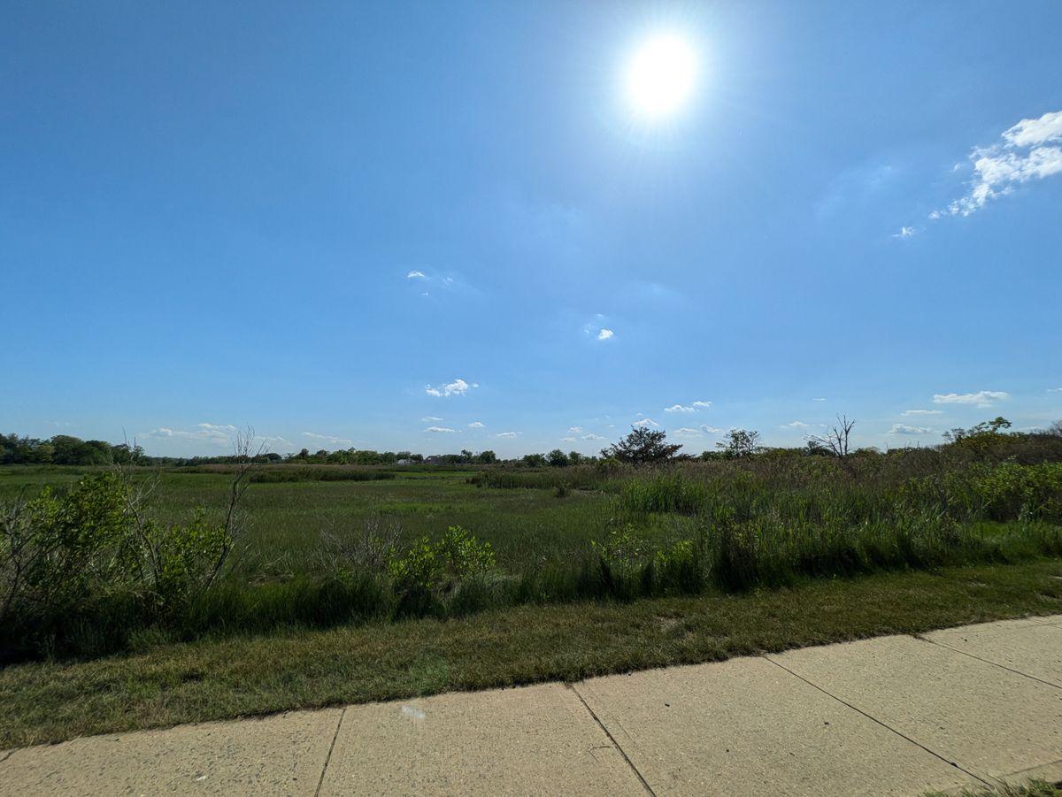 Google Pixel 8a ultrawide sample.
