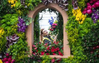 Chelsea Flower Show