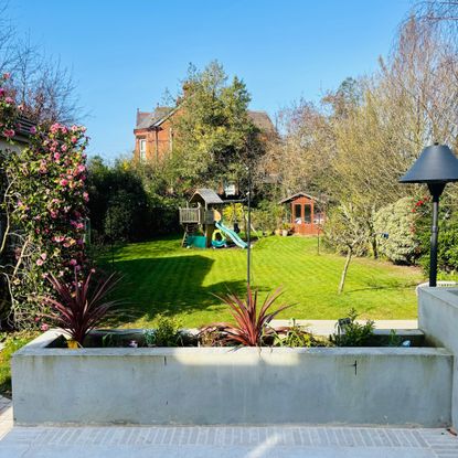 planter on a patio in garden