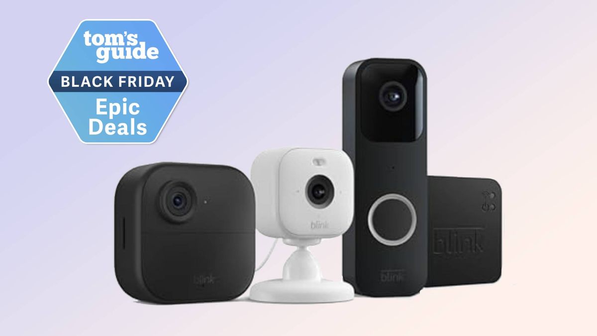 Black friday on shops blink cameras