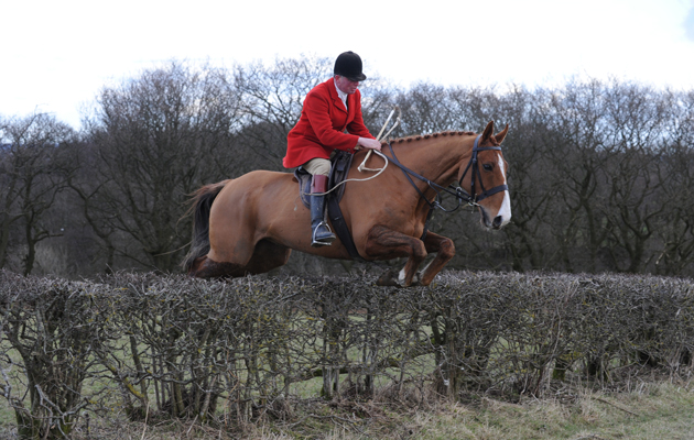 Barlow Hunt on 03 03 2015