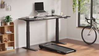 Flexispot desk with treadmill underneath
