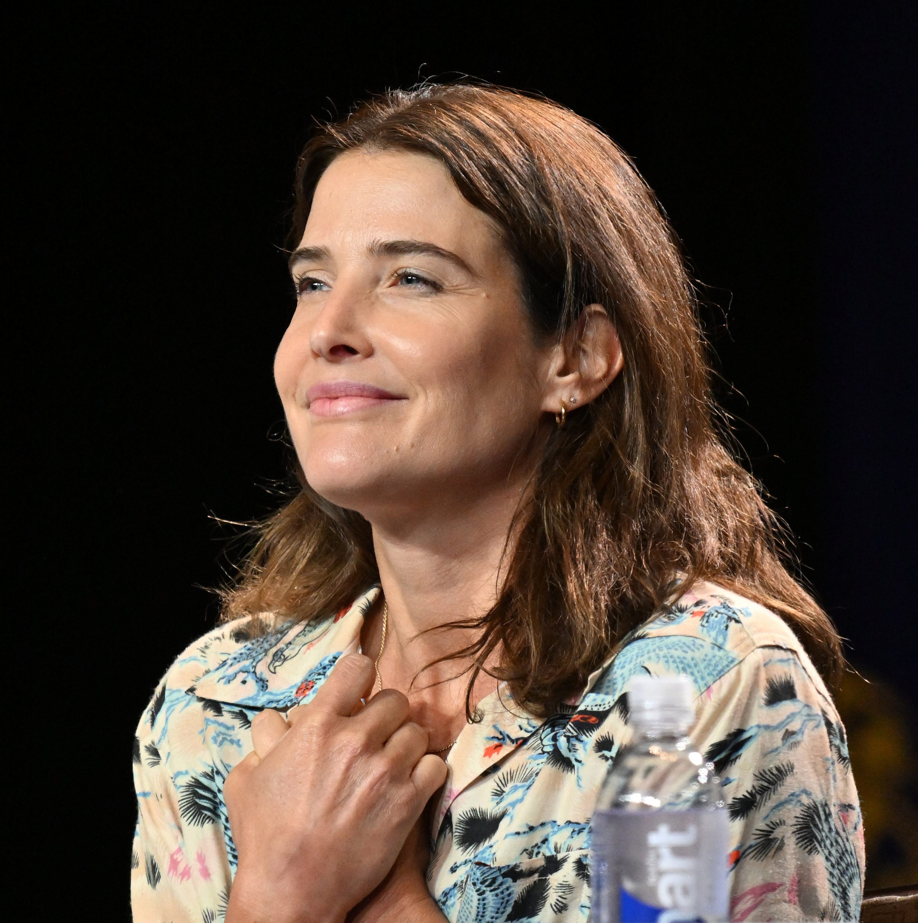 Actress Cobie Smulders speaks onstage during 