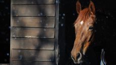 alamy-J71268-920x518.jpg