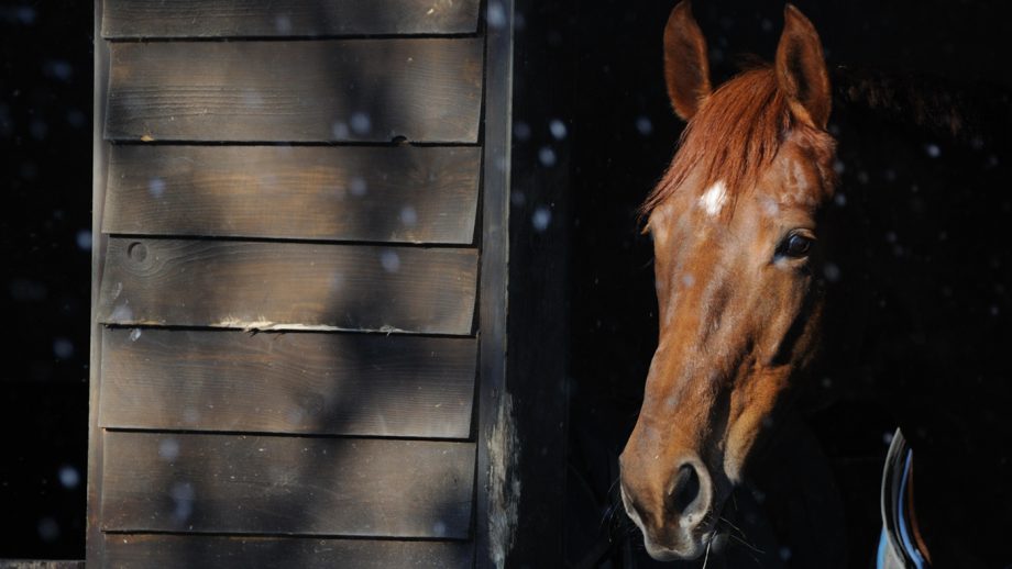 alamy-J71268-920x518.jpg
