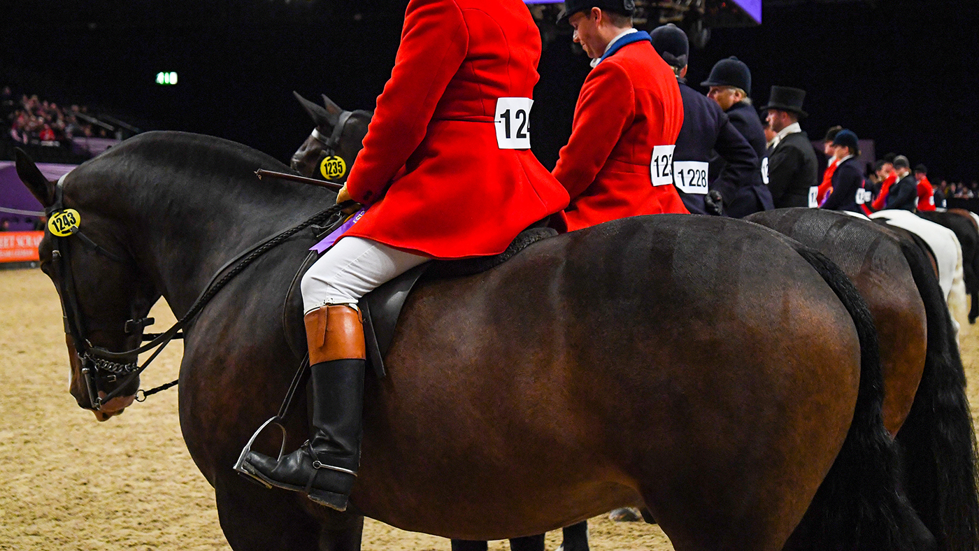 Line-up_HOYS_19PN_150816_349355002_589746031.jpg