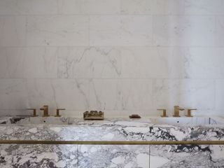 A bathroom with brassy faucets
