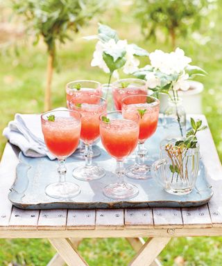 summer drinks in garden