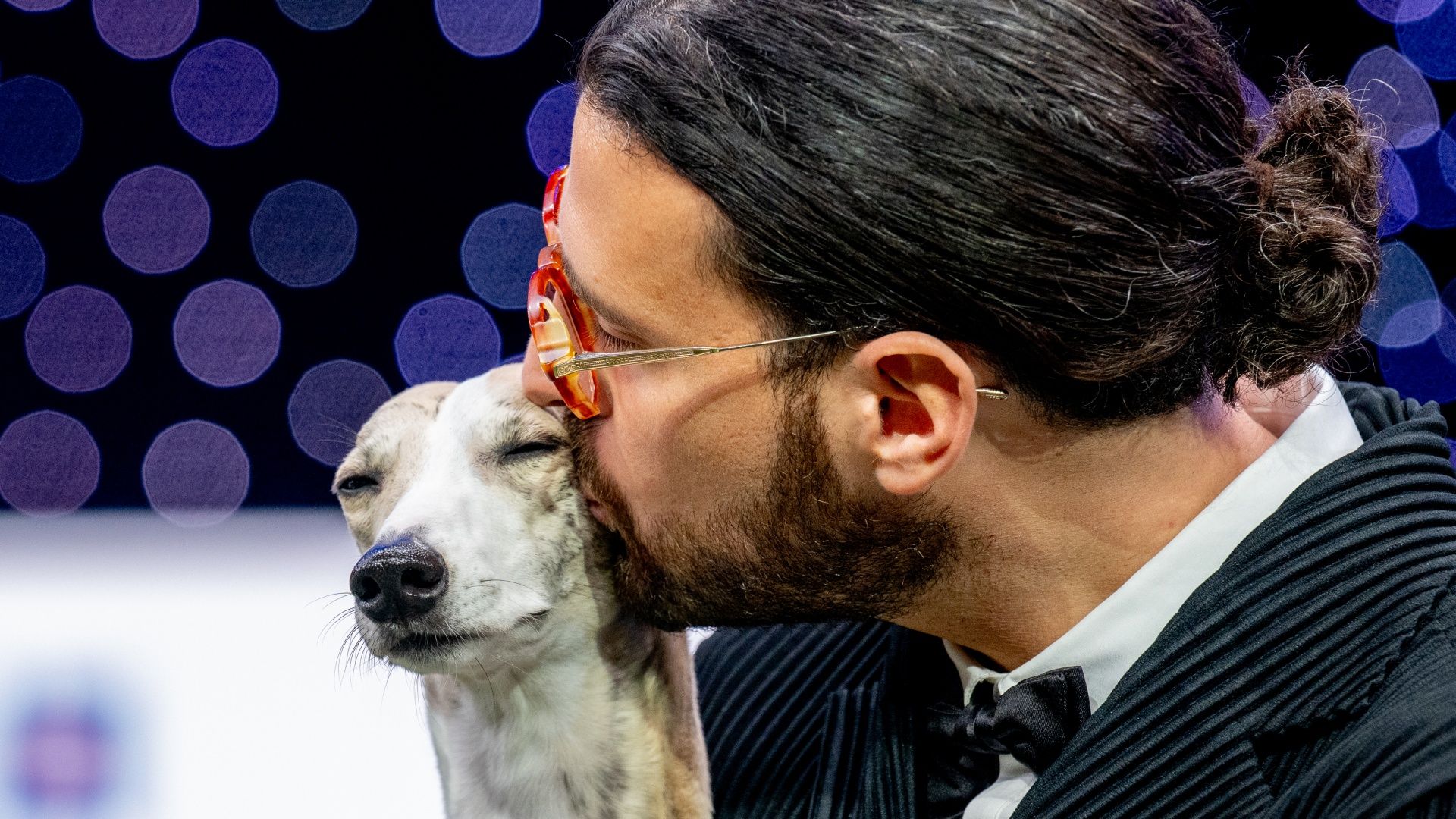 Cara menonton Crufts 2026 *GRATIS* — Streaming Langsung, Jadwal & Pratinjau