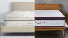 The Saatva Latex Hybrid is seen on the left hand side of the image, while the Awara Natural Hybrid mattress is seen on the right