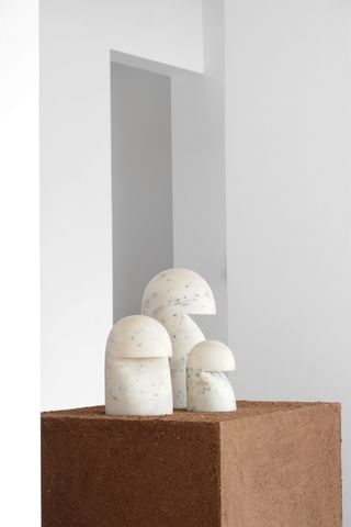 Sculptural objects on plinth at Æquō gallery