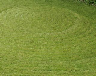 circles mowed into lawn