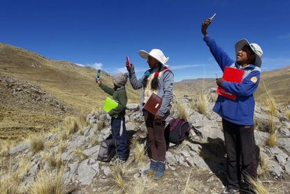 Bolivian children look for an internet signal to attend virtual classes.